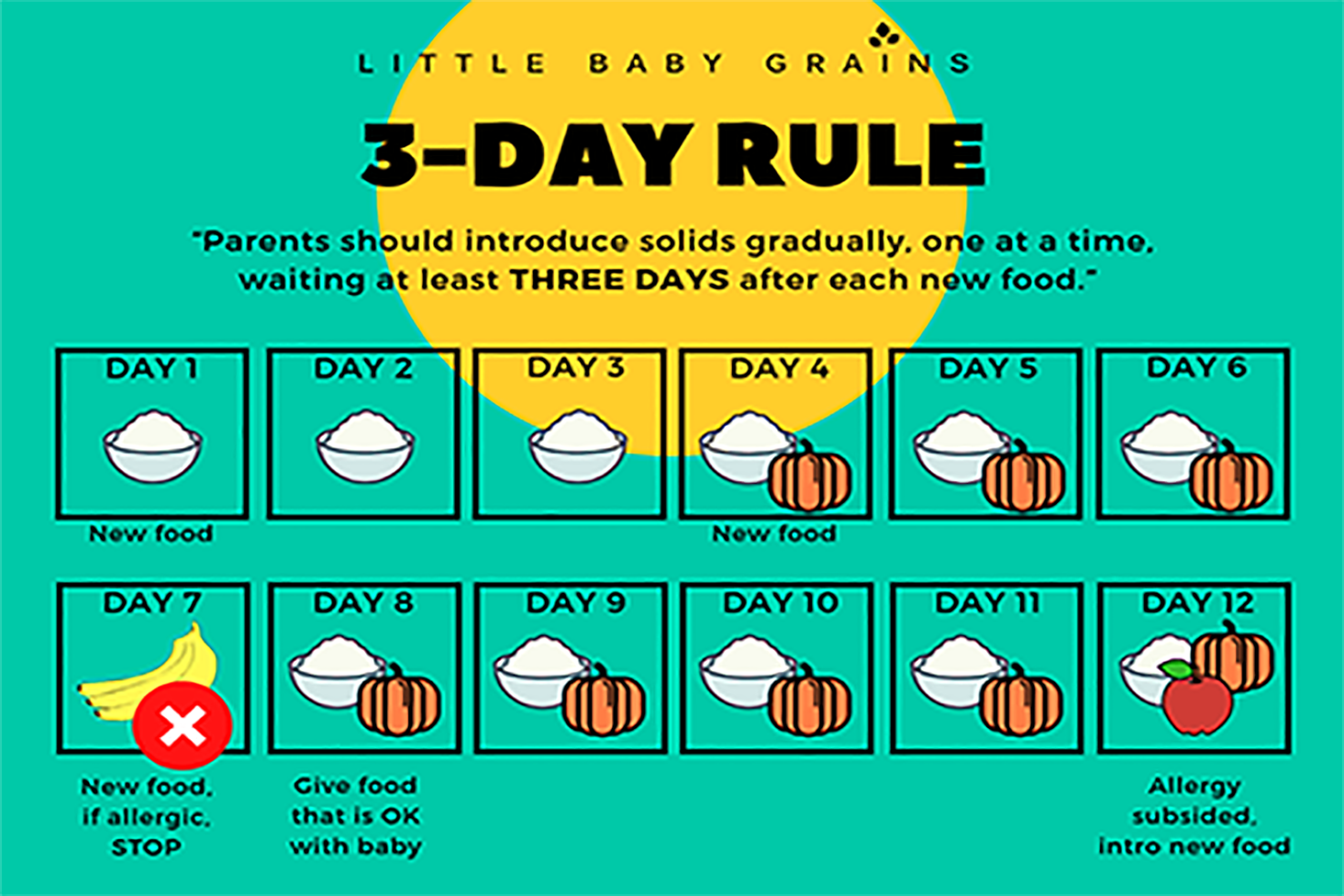 3-Day Rule | Peraturan 3 Hari | 3 日规则 | Gnubkins