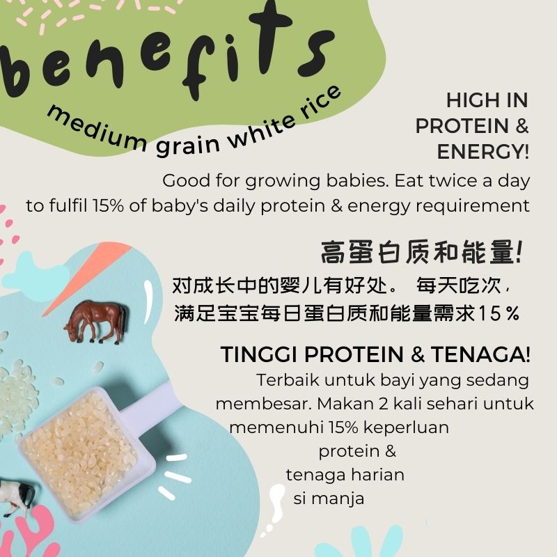 Baby Grains BASIC Range (6-15 Months)