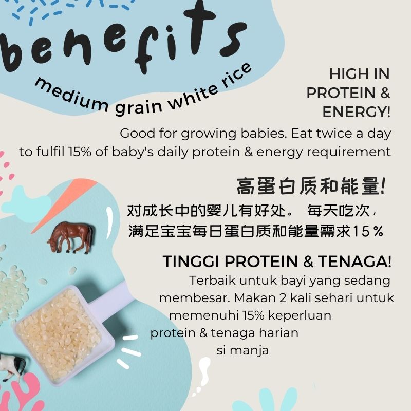 Baby Grains BASIC Range (6-15 Months)